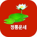 ������ֻ��